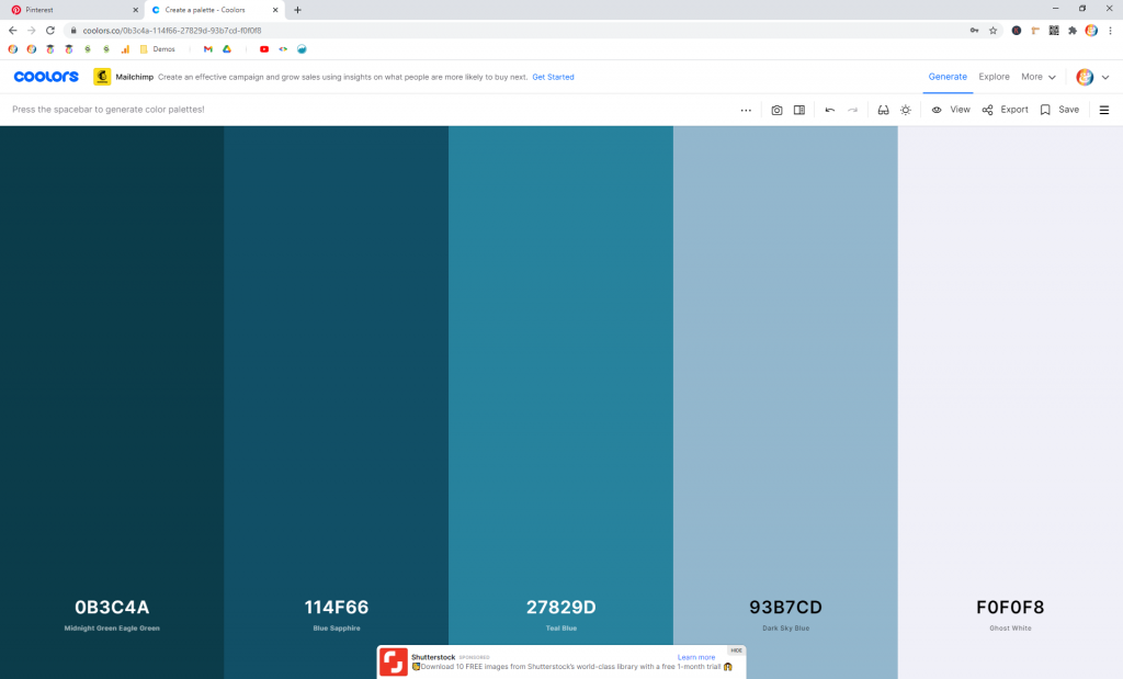 Screenshot showing a Coolors color palette • Choose Website Colors