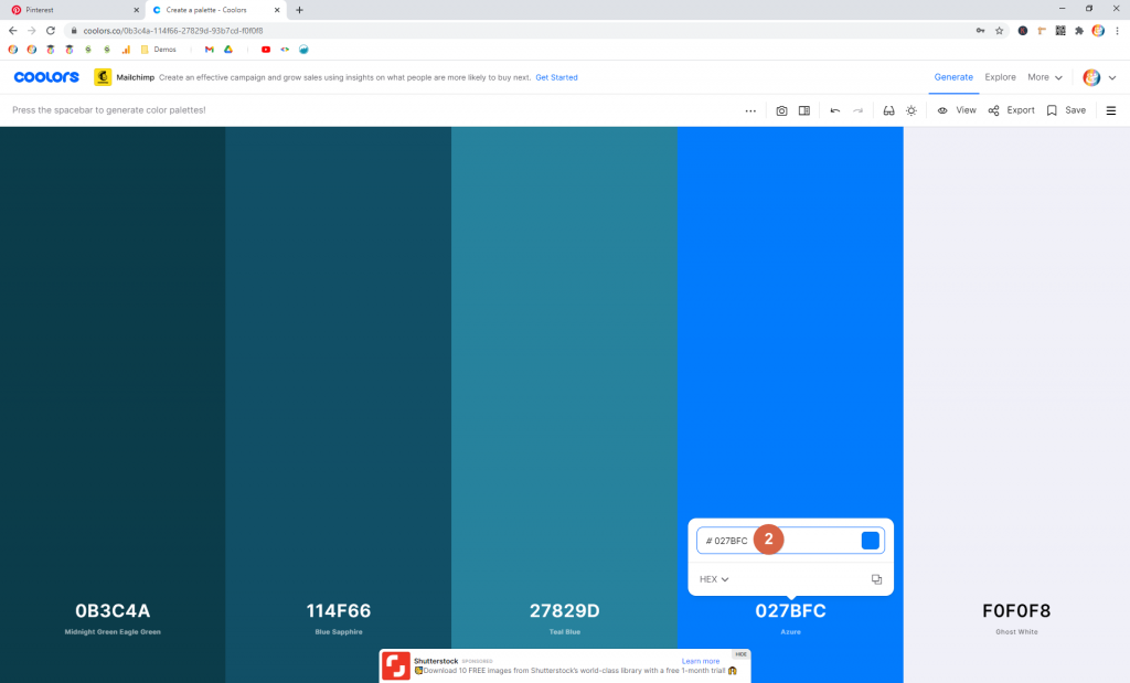 Screenshot showing how to update a color swatch in coolors • Choose Website Colors