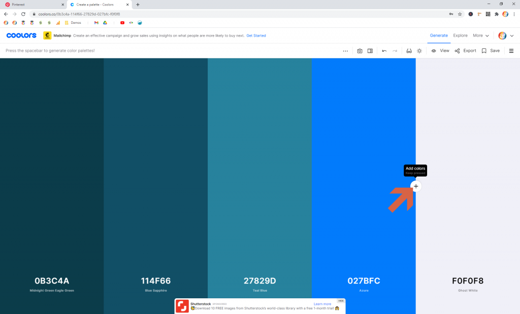 Screenshot showing how to add a new color in coolors • Choose Website Colors