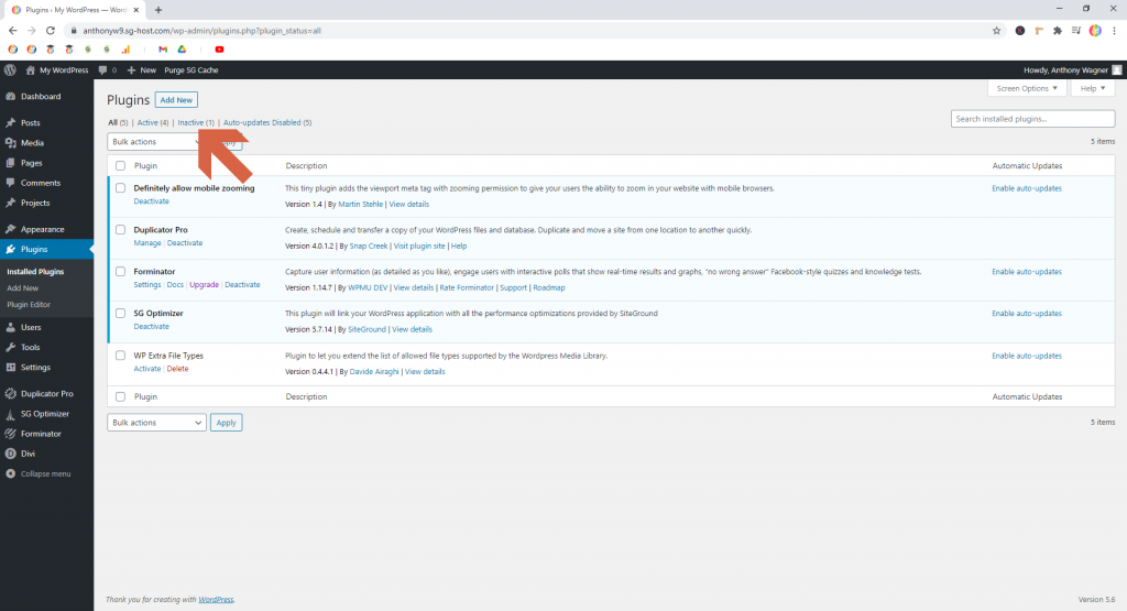 Screenshot showing how to filter by inactive plugins • WordPress Troubleshooting Tips