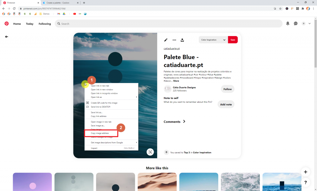 Screenshot showing how to copy an image's address • Choose Website Colors